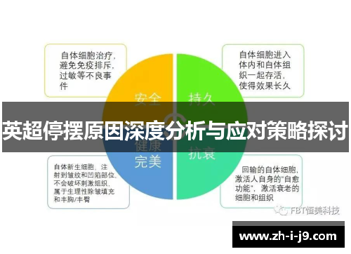 英超停摆原因深度分析与应对策略探讨 英超停摆原因深度分析与应对策略探讨