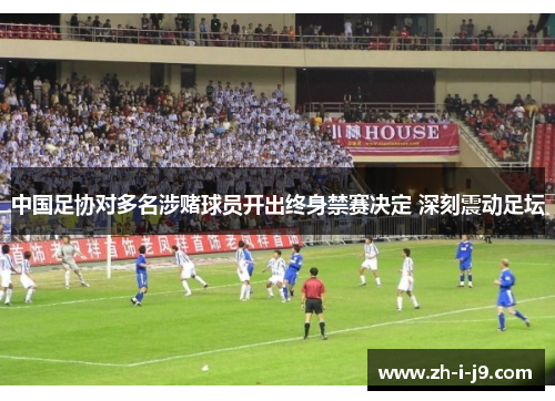 中国足协对多名涉赌球员开出终身禁赛决定 深刻震动足坛 中国足协对多名涉赌球员开出终身禁赛决定 深刻震动足坛
